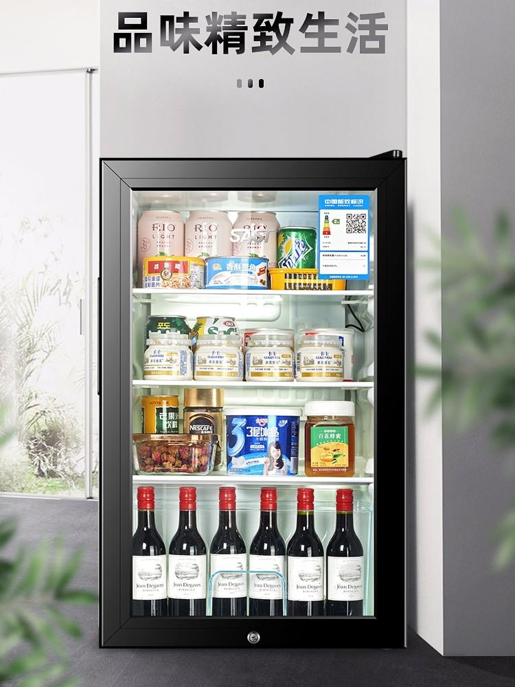 SAST Bc-50 Refrigerated and Fresh-Keeping Small Refrigerator with Transparent Glass and Lock, Ice Bar for Office, Home, Hotel