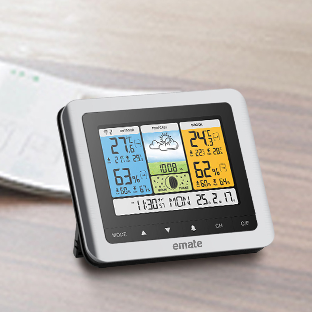 Easy Beauty Special Color Screen Backlight Weather Station Home Radio Sub Thermometer Humidity Indoor Outside Weather Hanging Watch Alarm Clock