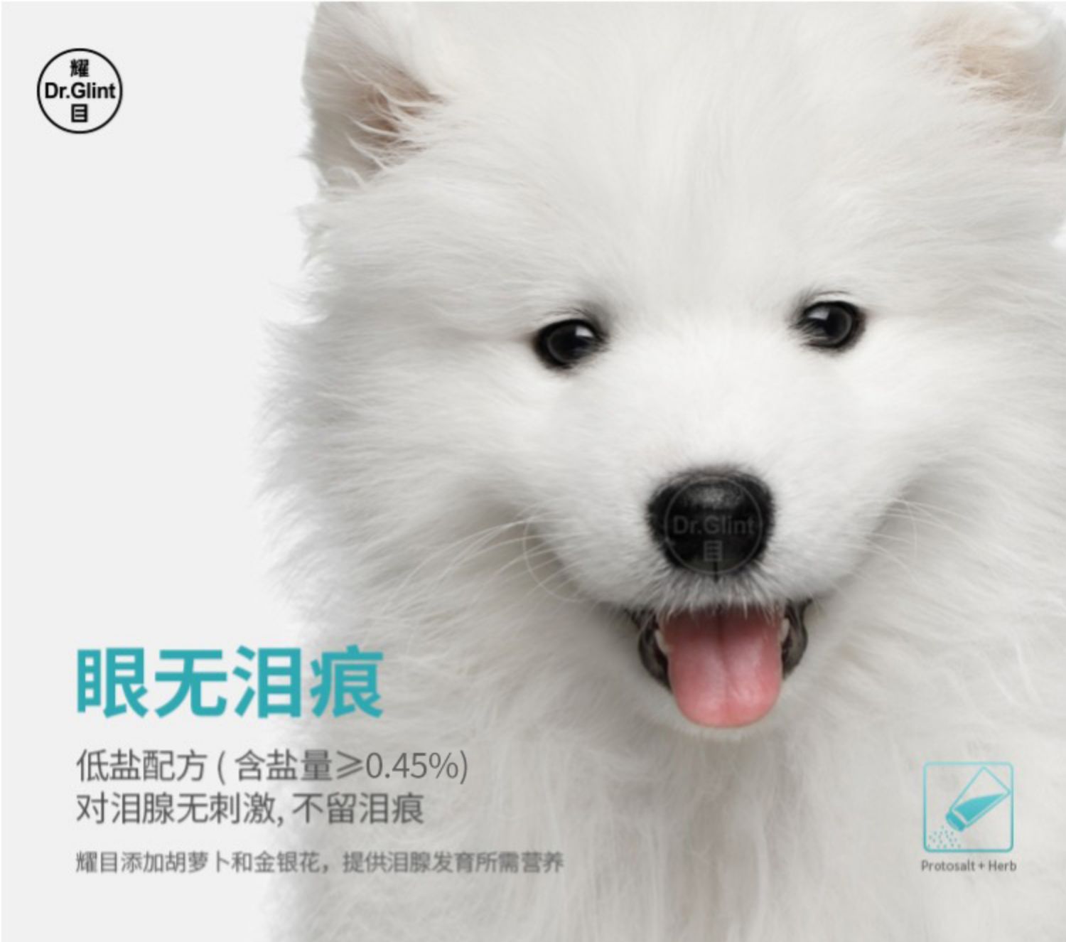 Thức ăn cho chó Samoyed đặc biệt chó con chó trưởng thành chó lớn chó samoyed chó thực phẩm đặc biệt tự nhiên hạt trắng lông 4 kg - Chó Staples thức ăn cho chó phốc