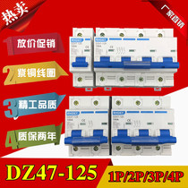 Shanghai Peoples Air Switch 100a empty open small 1p circuit breaker 125a 2p three-phase 3 switch household DZ47