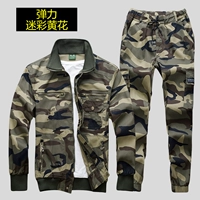 Желтый набор цветов [упругая пружина и осень]