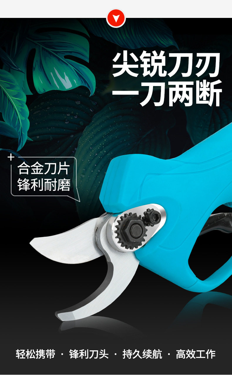 Садовые ножницы_04