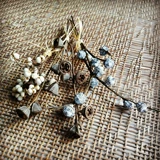 DIY Dry ​​Flower Eternal Flower zakka mini маленький орнамент эвкалипт фрукты проса хлопковой десять