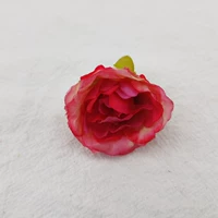 Роза красная