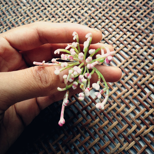 DIY Handcrafted Material Headwear Semi-finished Products Wedding Celebrations Full of Star Multi-Flower Rings Material Bridal Headwear of Honeysuckle Mens