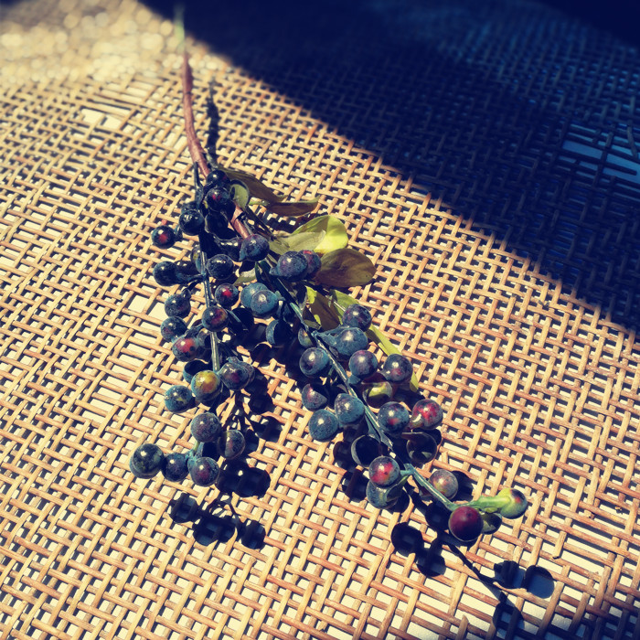 DIY Son Ensemble Ornament Material Emulation Foam Berries Flowers Ring Christmas Fruits Blueberry Fruit Cherry Fruit Mini Old Augo