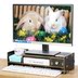 hộp nhựa đại đồng tiến Tân Cương cửa hàng bách hóa anh em LCD màn hình máy tính khung gỗ lưu trữ hộp lưu trữ kết thúc lưu trữ - Trang chủ hộp nhựa giá rẻ Trang chủ