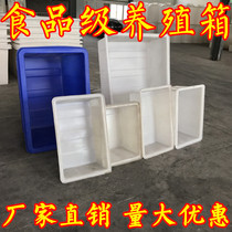 Thick plastic PE food grade tank box 50 liters-1500L aquaculture shallow pots crab turtle flowers long barrel
