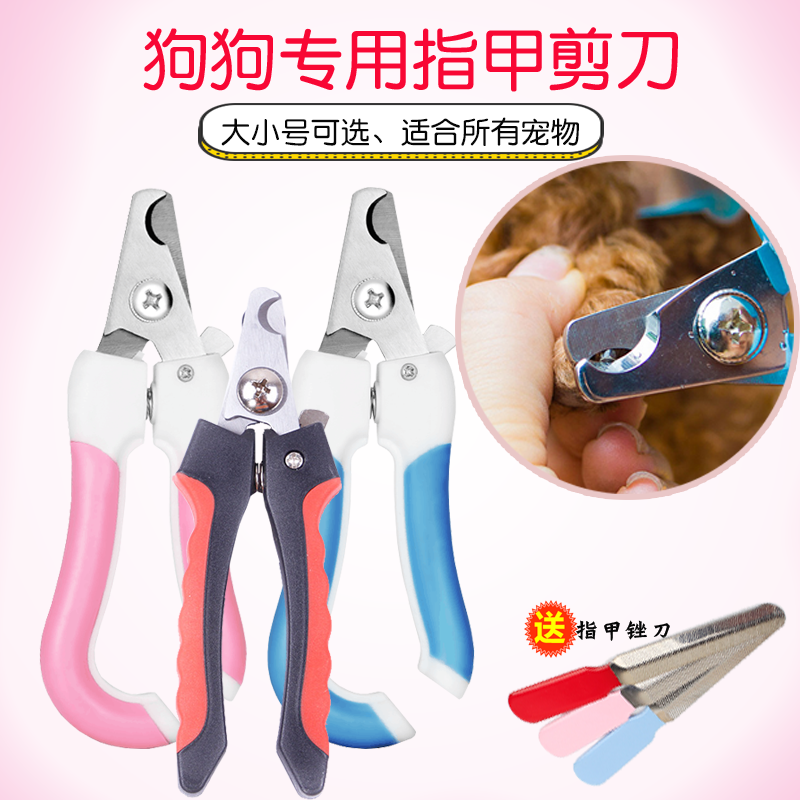 Teddy Dog Nail Knife Teddy Special Nail Pliers Big Small And Medium Sized Pet Pooch Kitty Professional Nail Clippers Universal