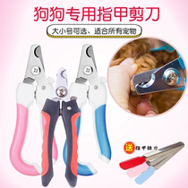 Teddy Dog Nail Knife Teddy Special Nail Pliers Big Small And Medium Sized Pet Pooch Kitty Professional Nail Clippers Universal