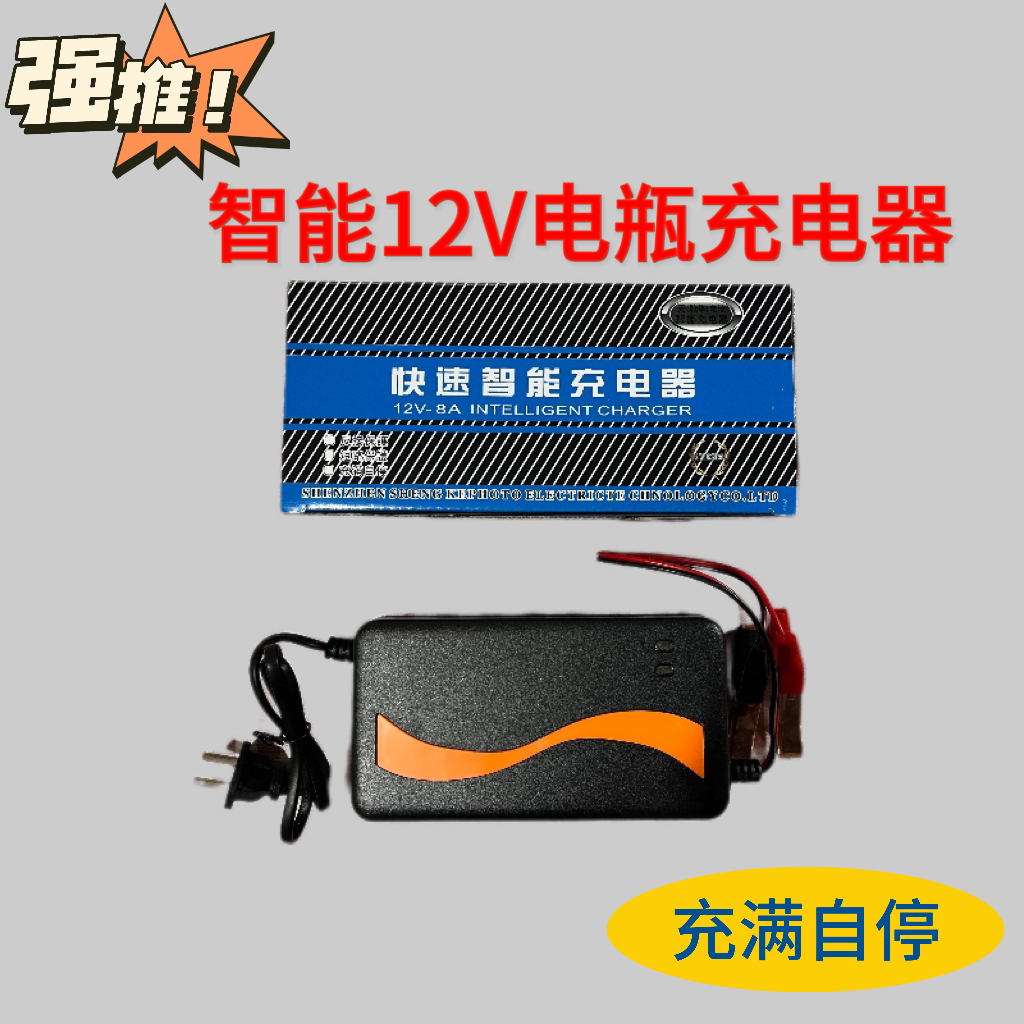 12V Battery charger 12 V 20AH Electric vehicle lead-acid accumulator charger Smart versatile full of self-stop-Taobao