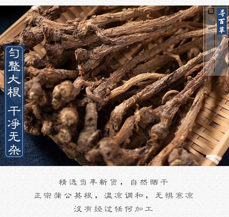 Одуванчик root_06.jpg