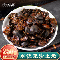 Search for herbal medicine Chinese herbal medicine Tuyuanyi native turtle ground beetle ground beetle dry goods 250 gr