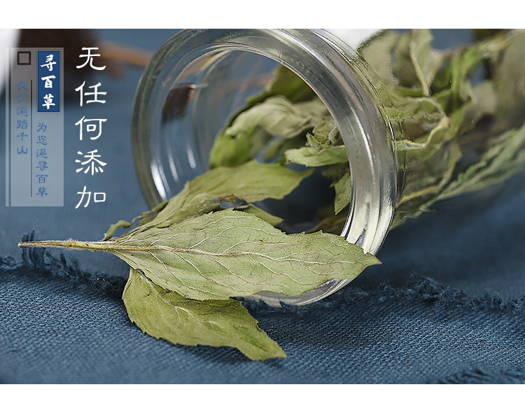 Mint Leaves_14.jpg