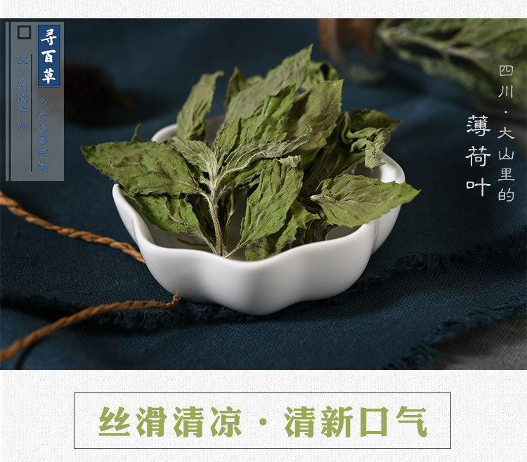 Mint Leaves_05.jpg