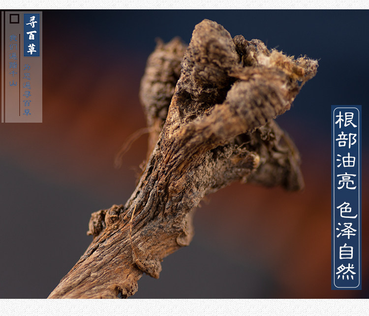 Dandelion root_07.jpg