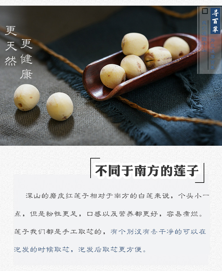 Lotus Seeds_07.jpg