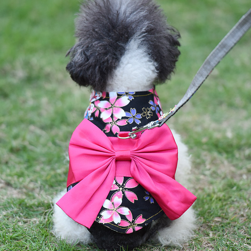 Festive Teddy Leash Vest Bichon Frize Small Dog Cat Cute Princess and Wind Dog Harness Pet Supplies