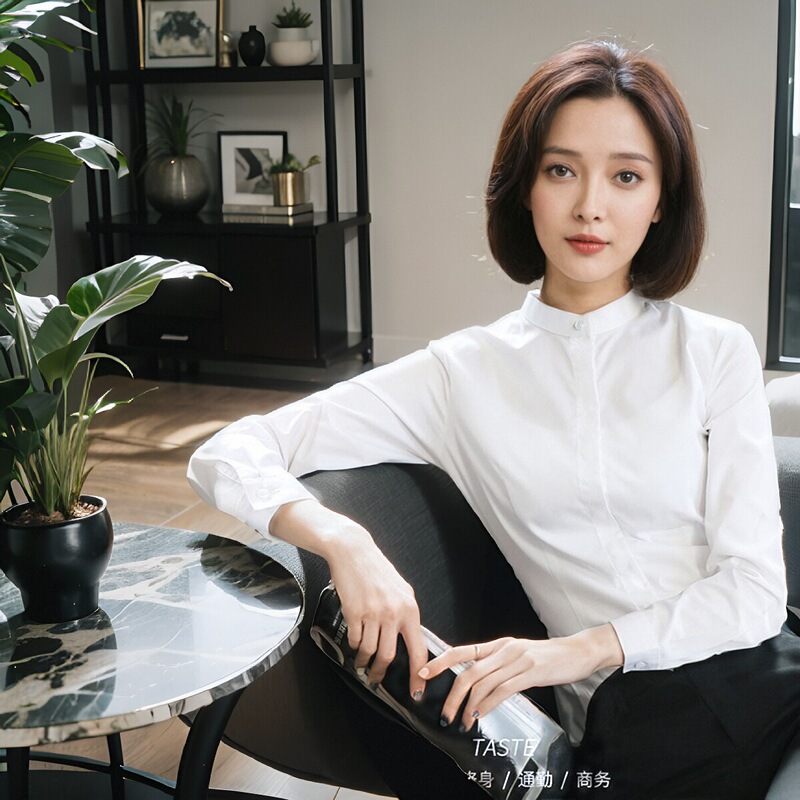 White Shirt for Women, Stand-Up Collar, Professional Workwear, Cotton Shirt, New Style for Interviews, Niche Design, Spring and Autumn Chinese-Style Shirt