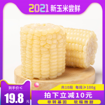 Xirui vacuum white waxy corn segments 10 Northeast fresh sweet waxy sticky sticky fresh non-GMO heated ready-to-eat