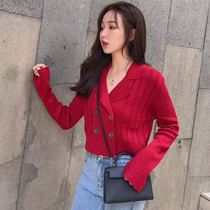 2021 Spring and Autumn new short suit collar double-breasted ice silk sweater womens thin outer cardigan coat