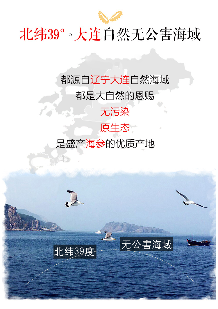 大连即食海参 鲜活辽参500g 4.9高分 图1