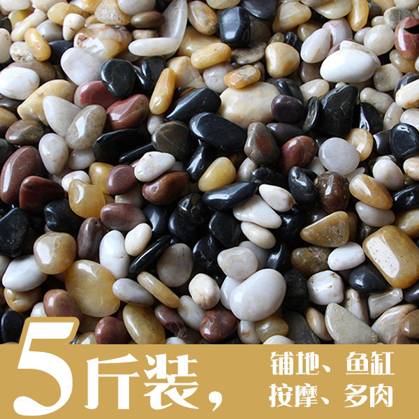 (5 catty) Natural Nanjing Rain Flower Stone original pebble flower pot gardening Pebble Fish Tank Five Colorful Little Pebble Courtyard