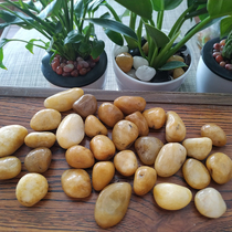 Yuhua Stone Flower Pot Gardening Nanjing Painting Pebbles Natural Colorful Stone Stone Stone Size Courtyard Fish Tank Original Stone