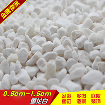 (10kg) fleshy decorative small stone flower pot plant paving colorful stone pebbles white stone courtyard