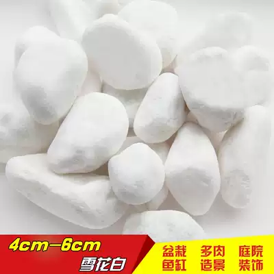 (10kg) fleshy decorative pebble flower pot plant paving stone colorful stone cobblestone white stone courtyard