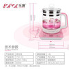 Lepu Fully Automatic Electric Cooking Pot Health Pot Multifunctional Electric Kettle Glass Health Pot Tea Maker