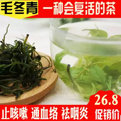 Chinese medicine new hair Holly Green Yunnan wild tea tablets Super 250g tender Bud bitter Gan Yeqing mountain green water bitter tea