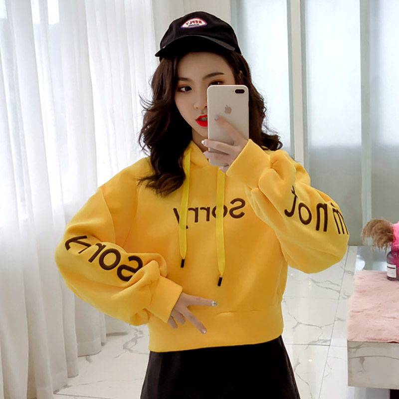 Short Tide Necropolis 2021 New Ladies Autumn Winter Loose Embroidered Gold Velvet Thickened and Hat Double-sided Suede Casual Blouse