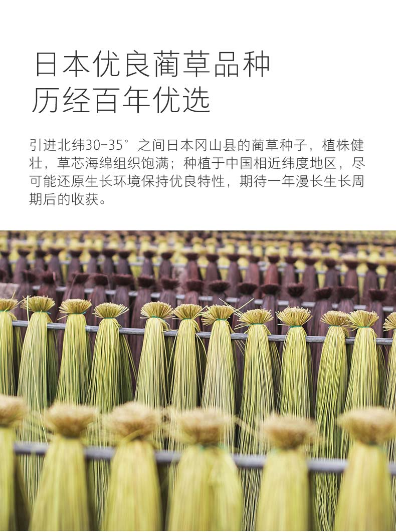 淘宝心选 日本蔺草席 高档密经榻榻米工艺 1.8m 图3