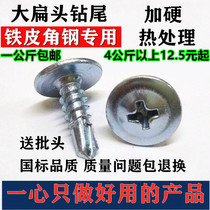  Galvanized large flat head drill tail screw Self-tapping self-drilling screw dovetail nail drill color steel tile iron sheet steel plate M4 2