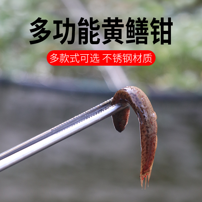 Yellow Eel Clip Stainless Steel Special Clip Anti Slip Yellow Good God Instrumental Mud Crab Tongs Son Powerful Catch-up Tool