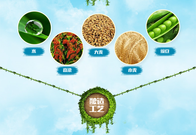 西凤 55度 正宗凤香型 纯粮白酒 500ml*6瓶箱装 图5
