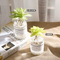 (Jingzhi Huajin-Gelsal Chrysanthemum) Отправить гидравлическую бутылку*2+мрамор