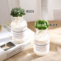 (Джи Юлу-Сакура Кристалл) Отправить гидравлическую бутылку*2+мрамор