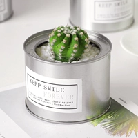 Галоновый рисунок -танк -ливер [ширина короны 4-5 см]