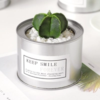 【-Silver Bar [Crown 4-5 см]