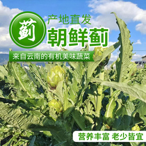 Fresh artichokes from the origin freshly picked and freshly harvested artichokes 500g small fruit free bonus when placing an order