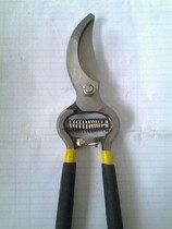 Special gardening scissors Pruning flower scissors Garden scissors tools Small fruit tree scissors Pruning seedling scissors