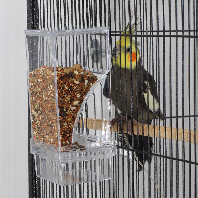 Tiger skin Munia peony Parrot bird food box anti-splash parrot automatic feeder new feeder bird feeder