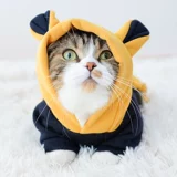 КОТЛИНАЯ ОБЕСПЕЧЕНИЯ ОСВЕНЬЯ АНТИ -МАО YINGMEI Короткий осень зимний зимний голубой кошачий кот кошачий кот плюшевый медвежь