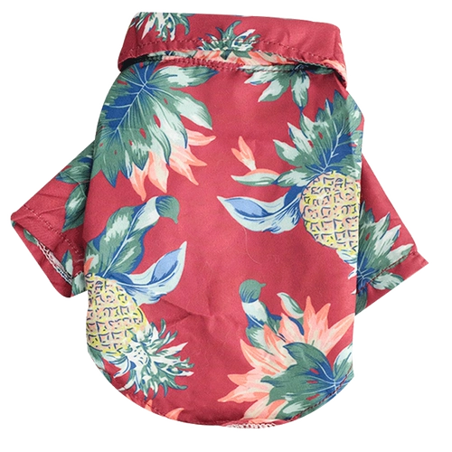 Шнурок-держатель, тонкая летняя одежда, летняя рубашка, популярно в интернете