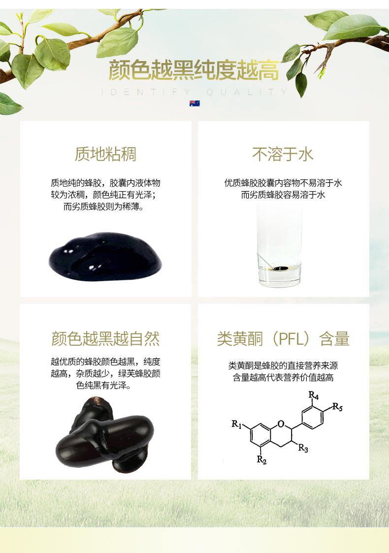 养生圣品 Springleaf 绿芙 澳洲黑蜂胶胶囊 2000mg*365粒 图7