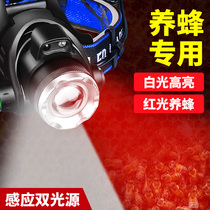 LED red and white dual light induction headlamp beekeeping special red strong light charging ultra-bright long-range zoom head-mounted