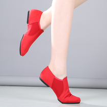 Modern jazz dance shoes Womens soft-soled practice shoes Adult ballet shoes National dance body shoes Yoga teacher shoes