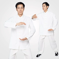 Белый [весна и осень толстой]